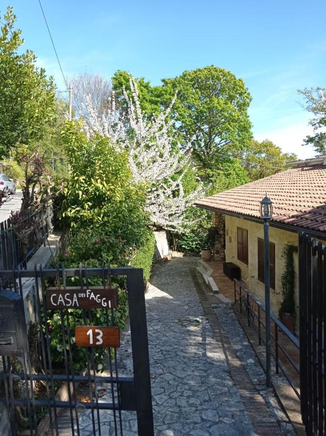 Appartamento Casa dei Faggi Tolfa Esterno foto
